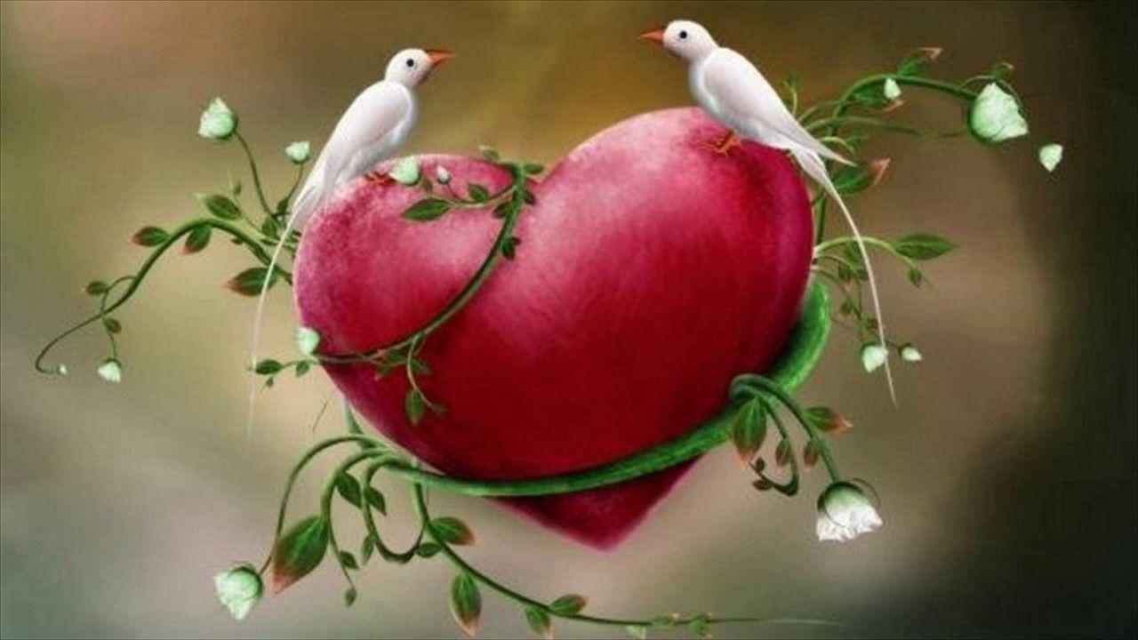 Lovebirds Wallpapers