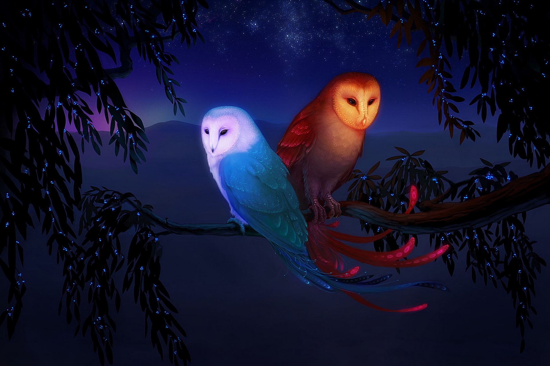 Owl Wallpapers