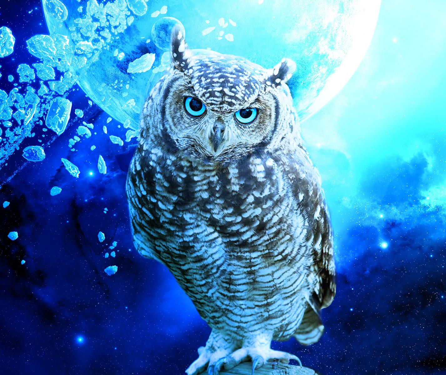 Owl Wallpapers