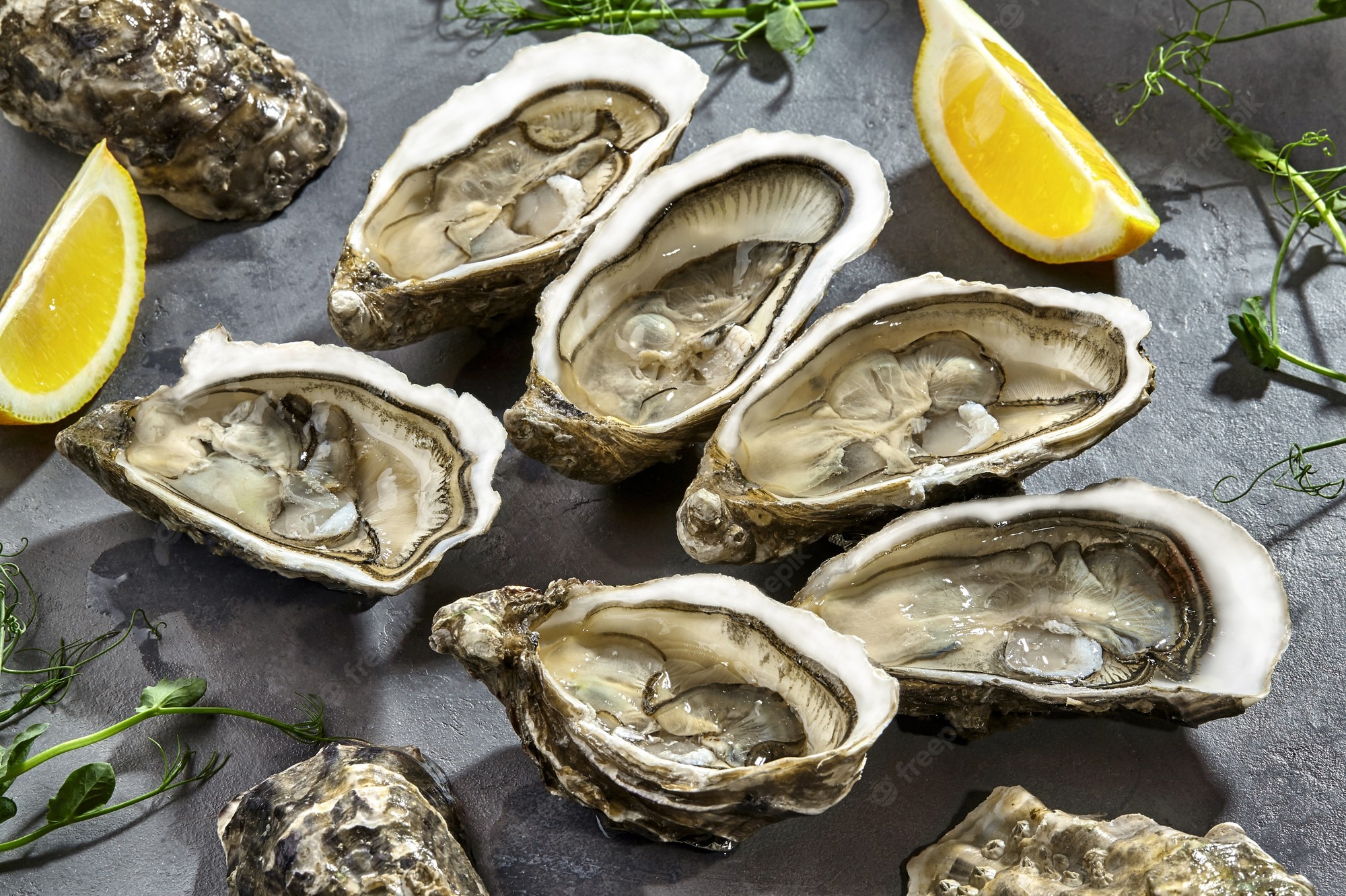 Pacific Oyster Wallpapers