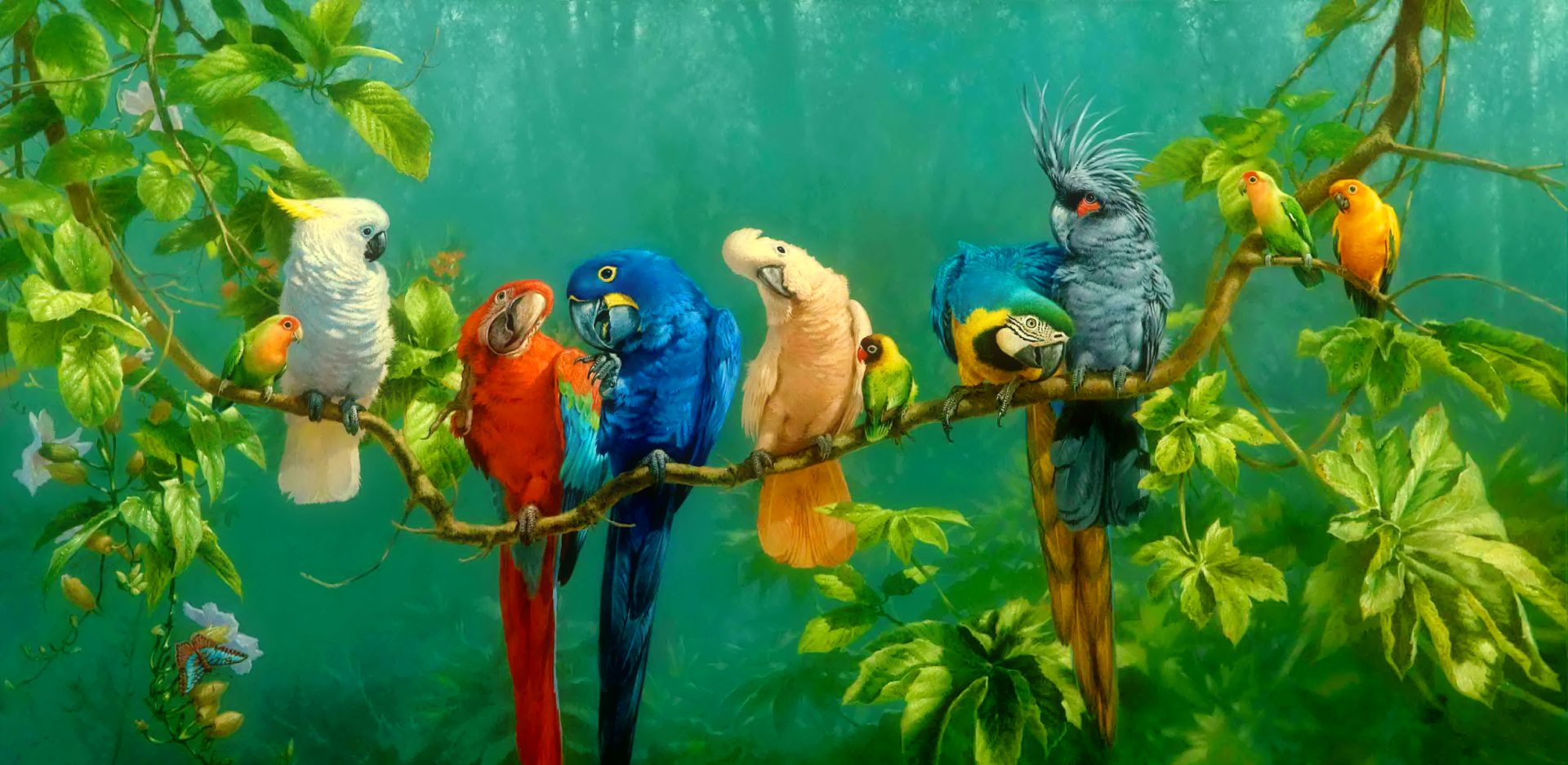 Parrot Wallpapers