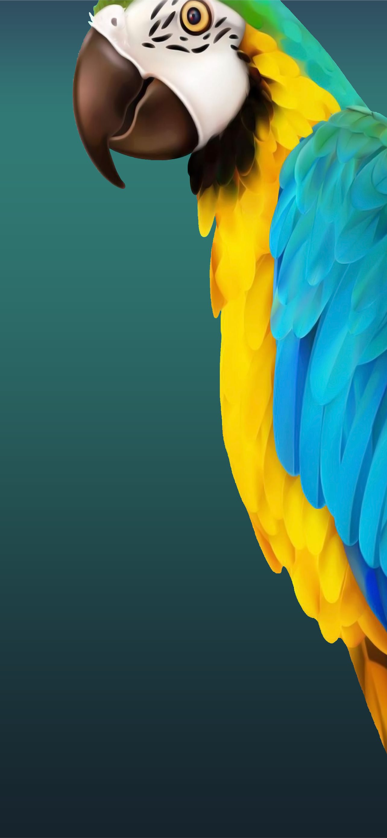 Parrot Wallpapers