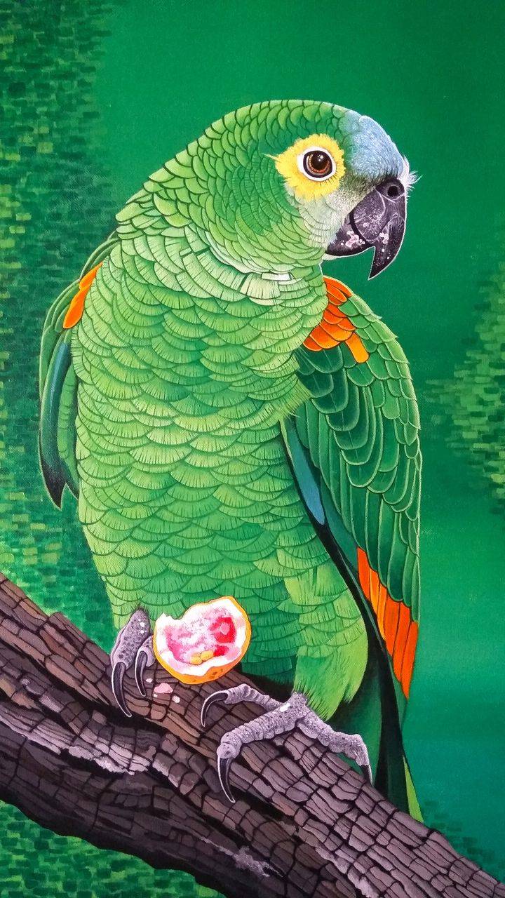 Parrot Wallpapers