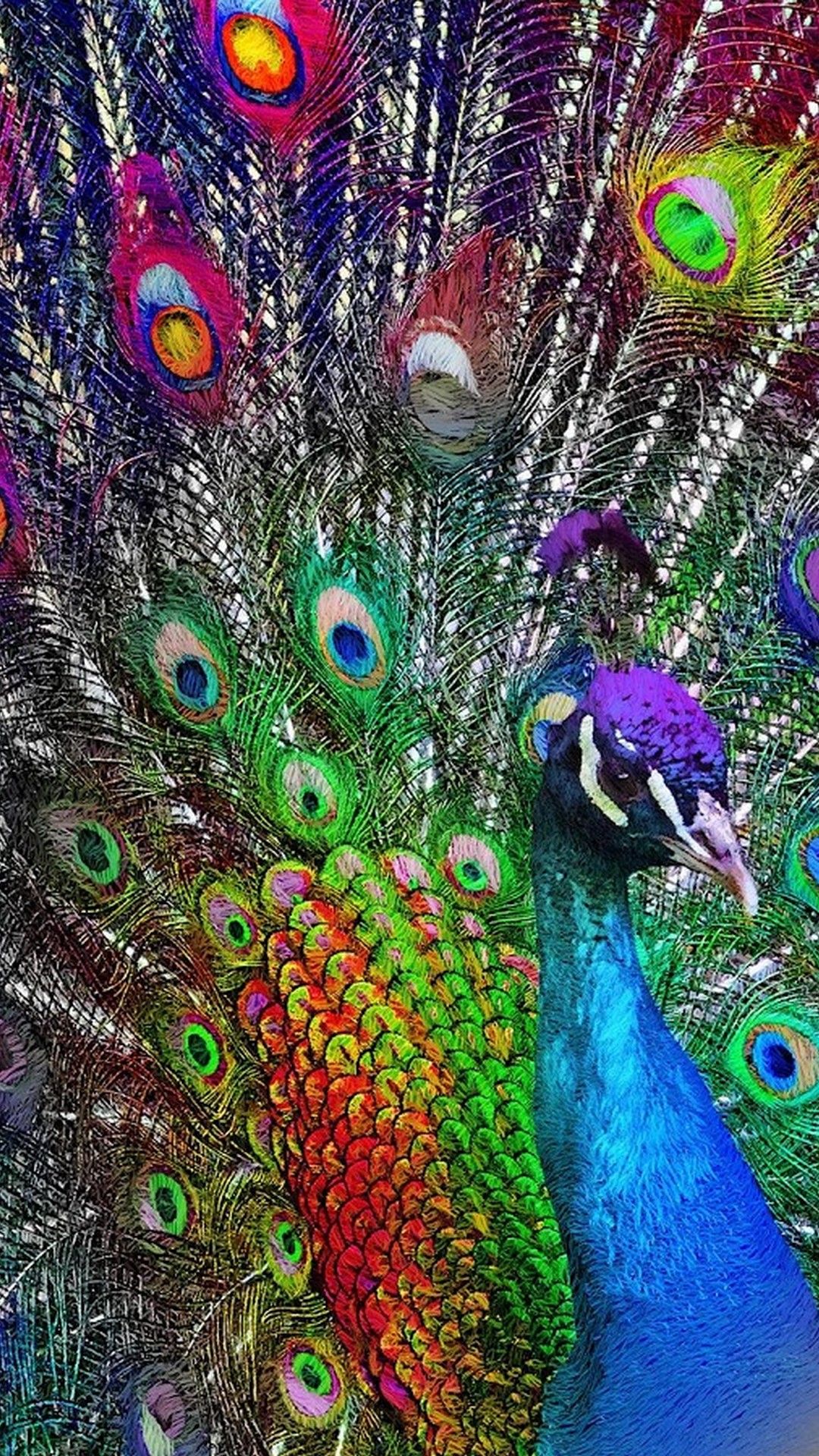 Peacock Wallpapers