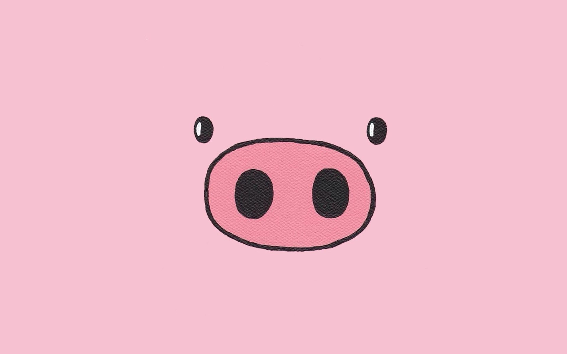 Pig Wallpapers