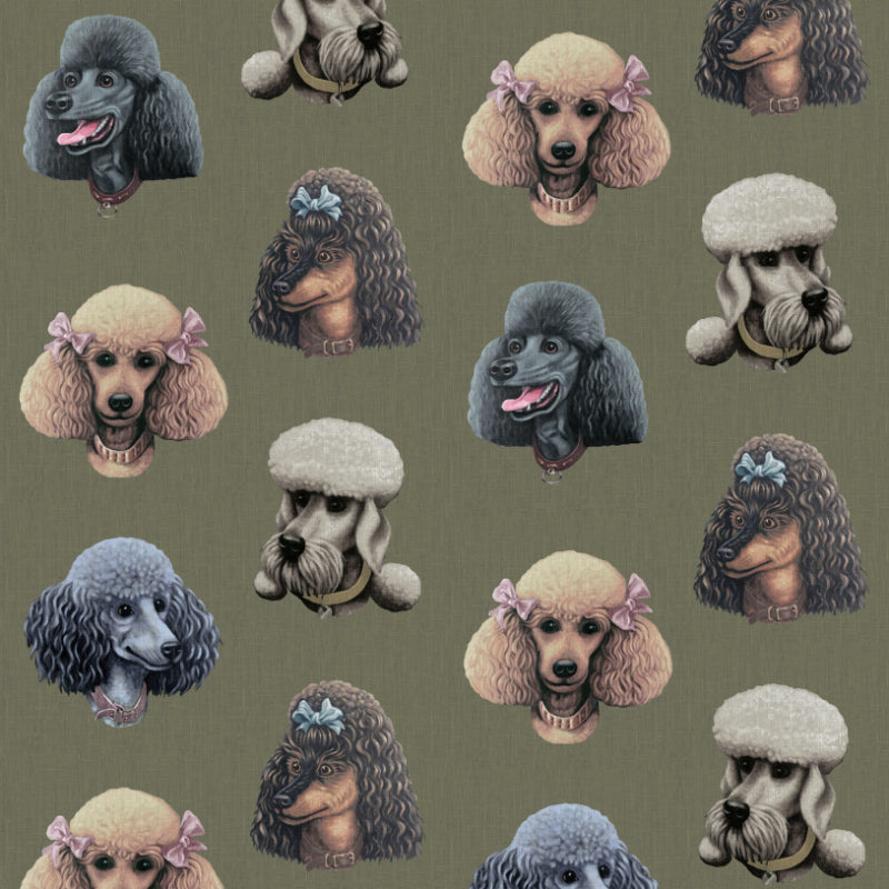 Poodle Wallpapers