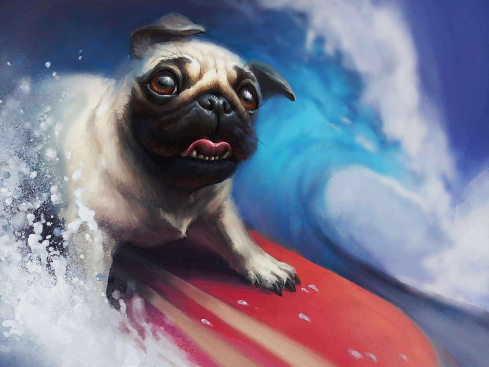 Pug Wallpapers