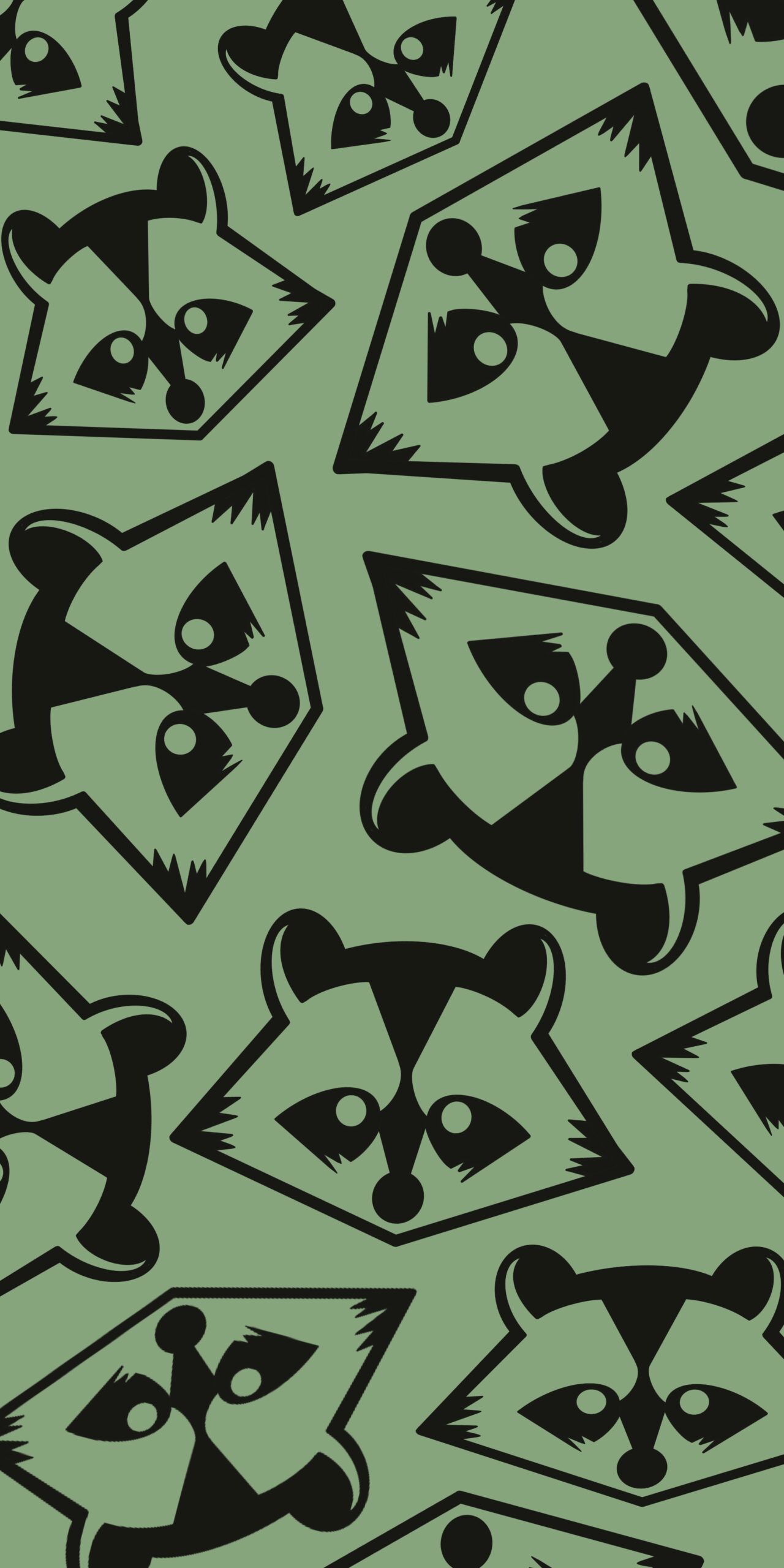 Raccoons Wallpapers