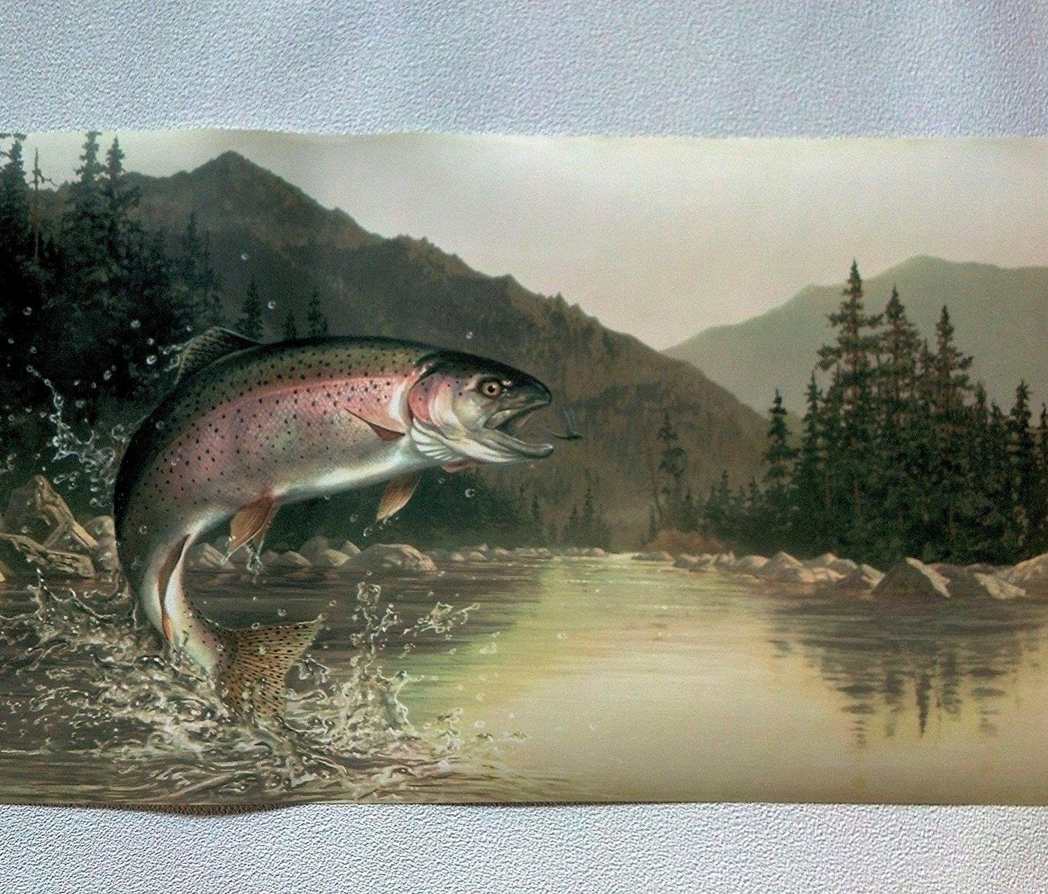 Rainbow Trout Wallpapers