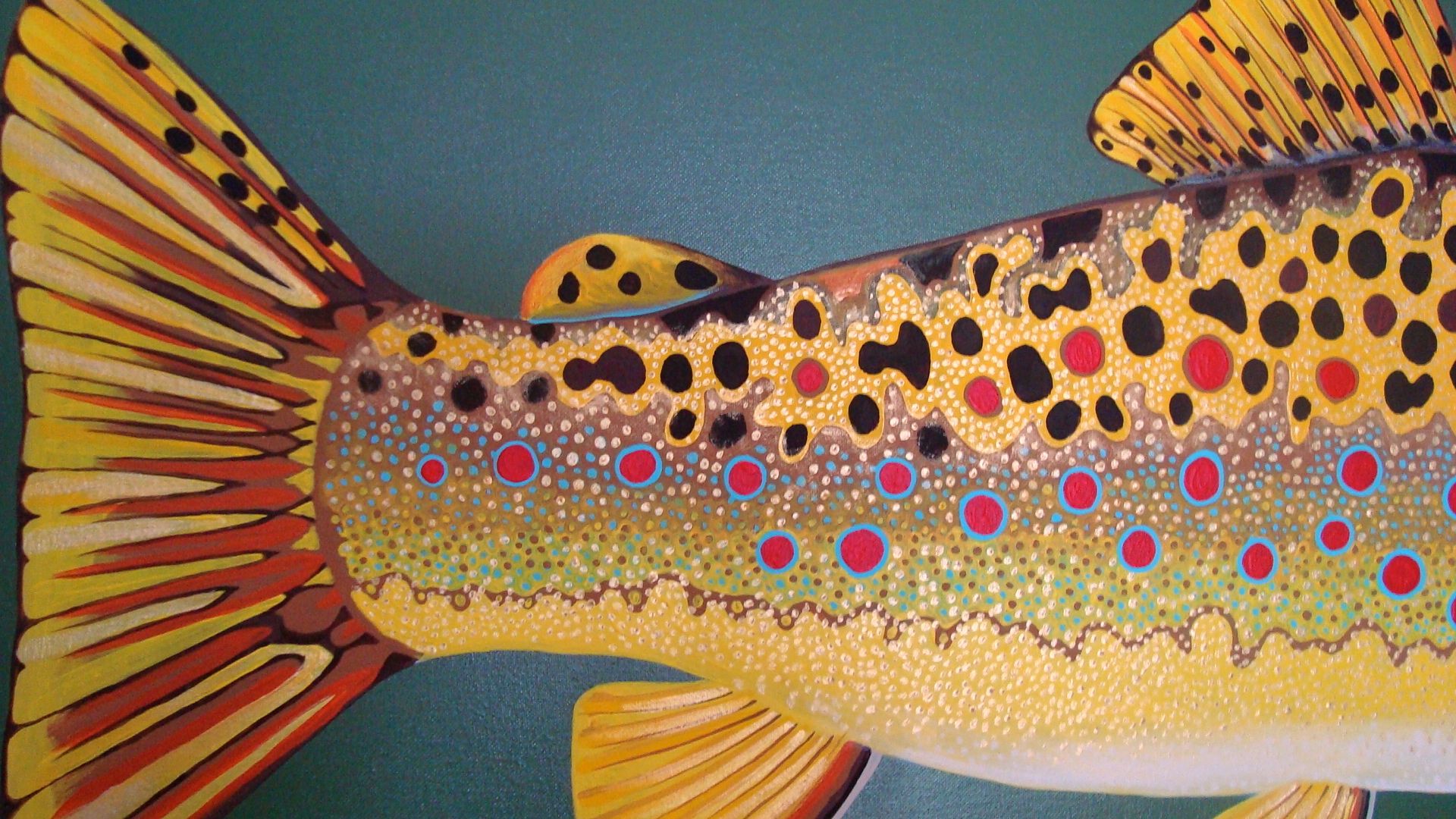 Rainbow Trout Wallpapers