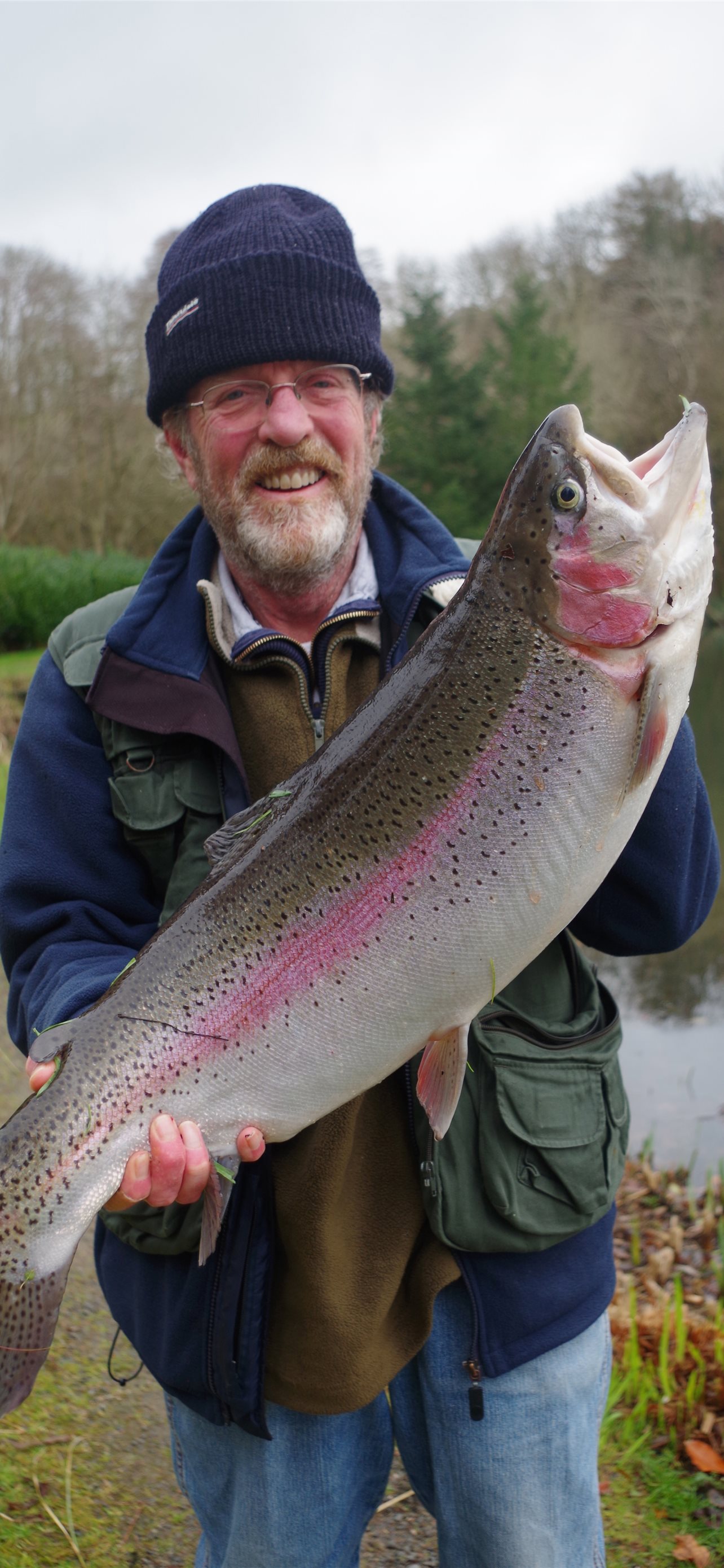 Rainbow Trout Wallpapers