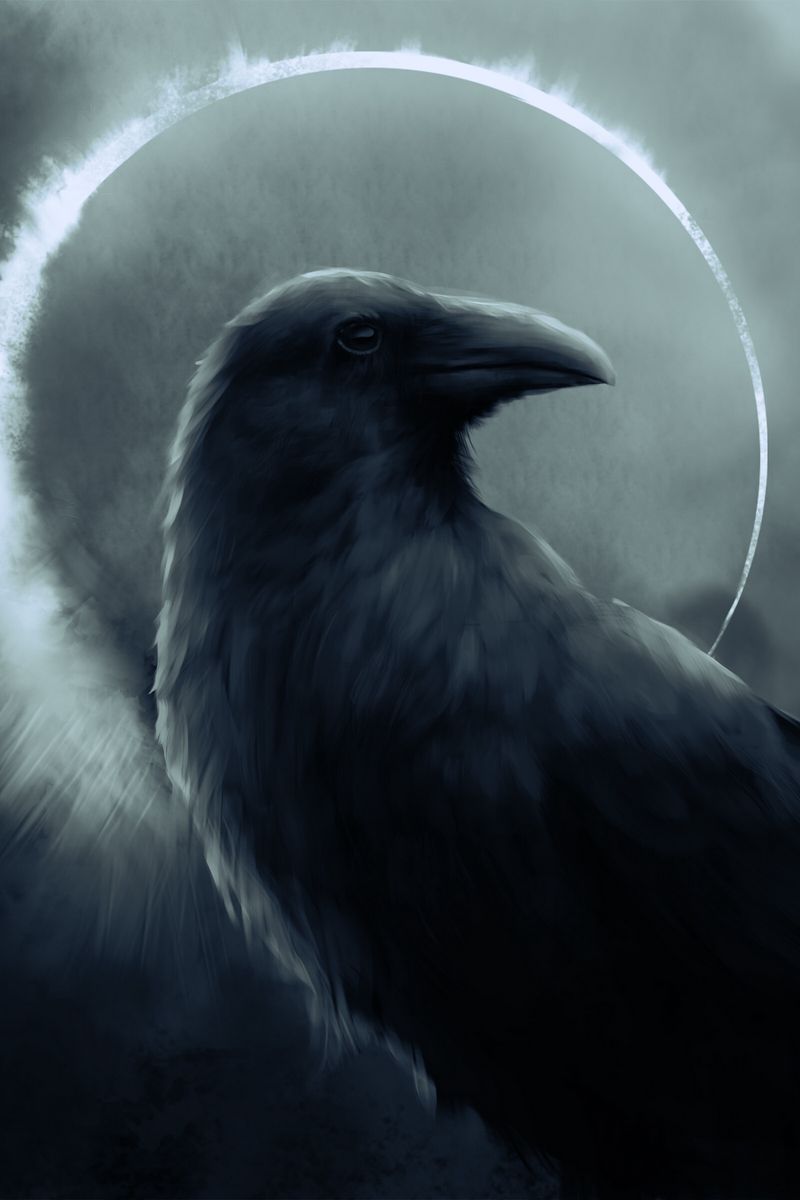 Raven Wallpapers