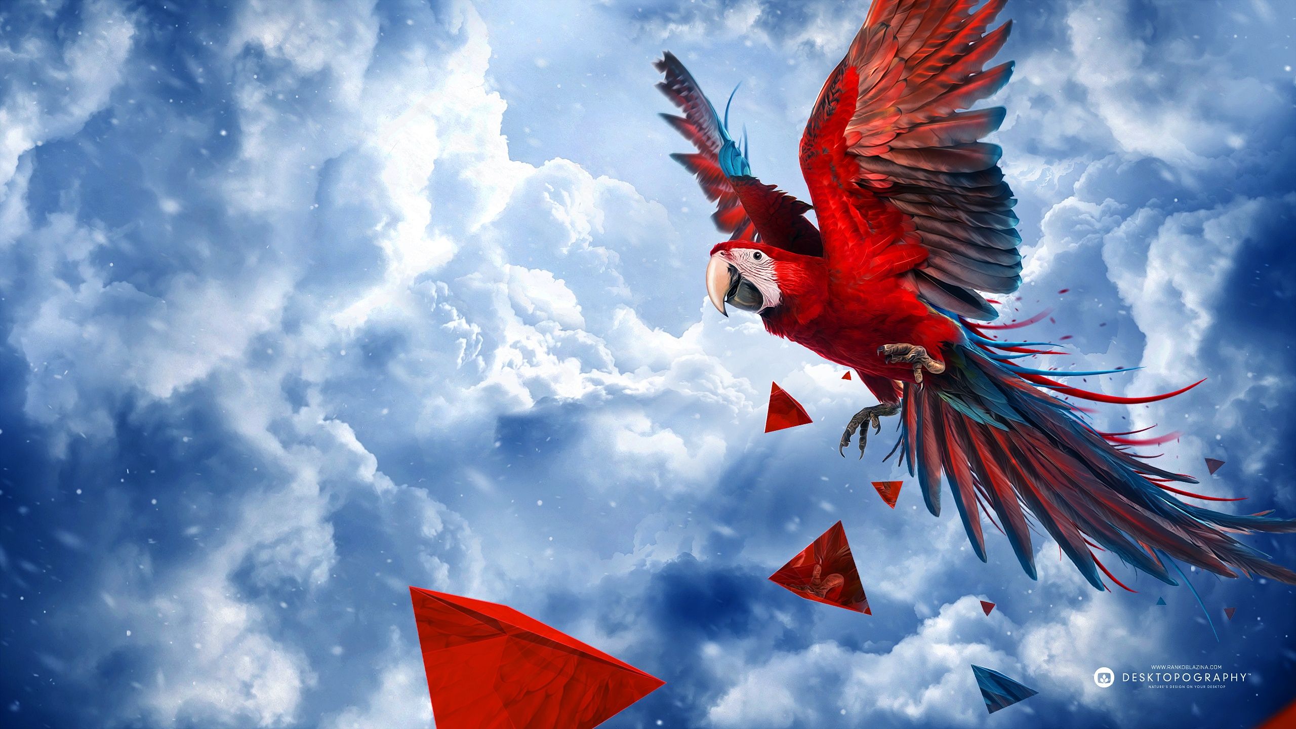 Red-And-Green Macaw Wallpapers