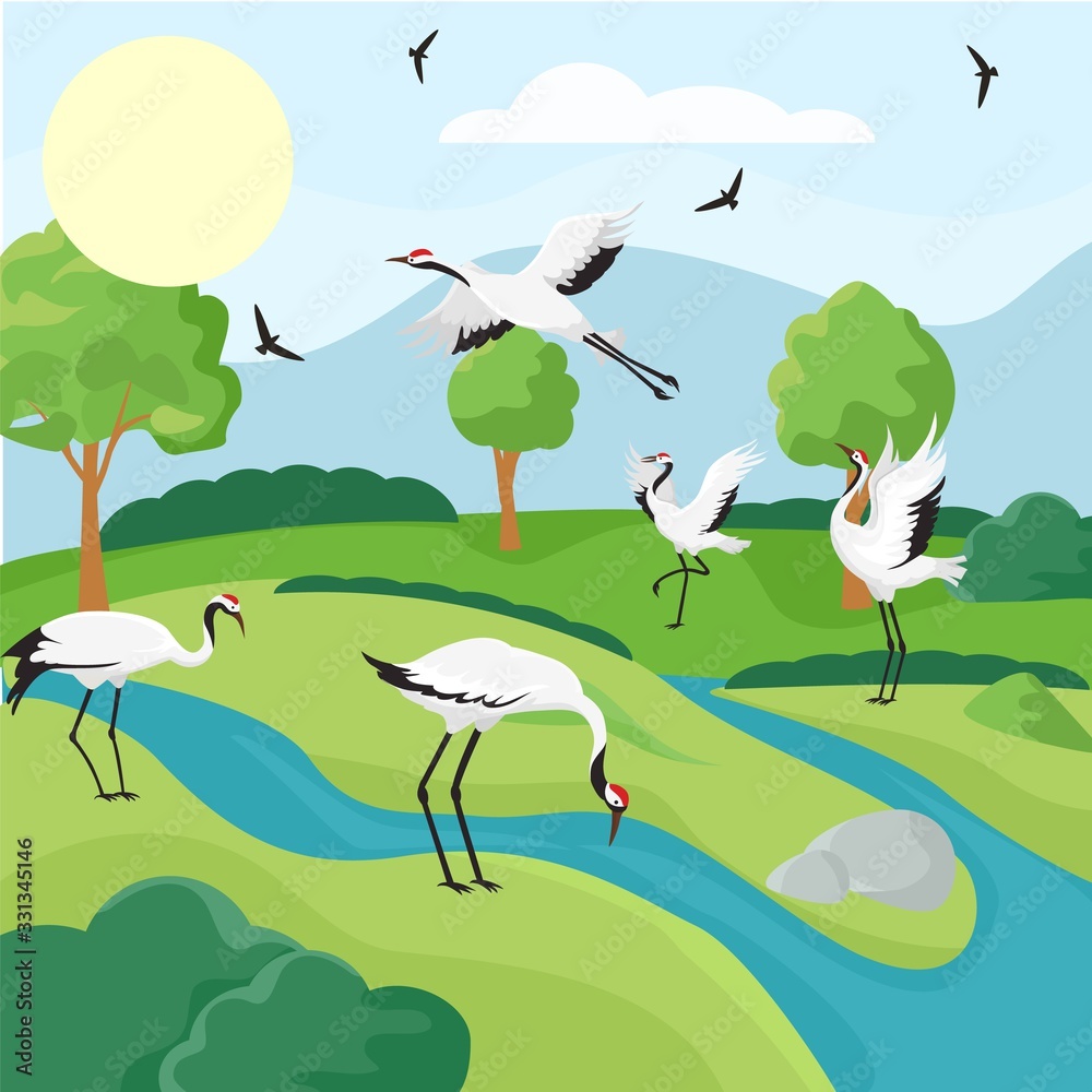 Red-Crowned Crane Wallpapers