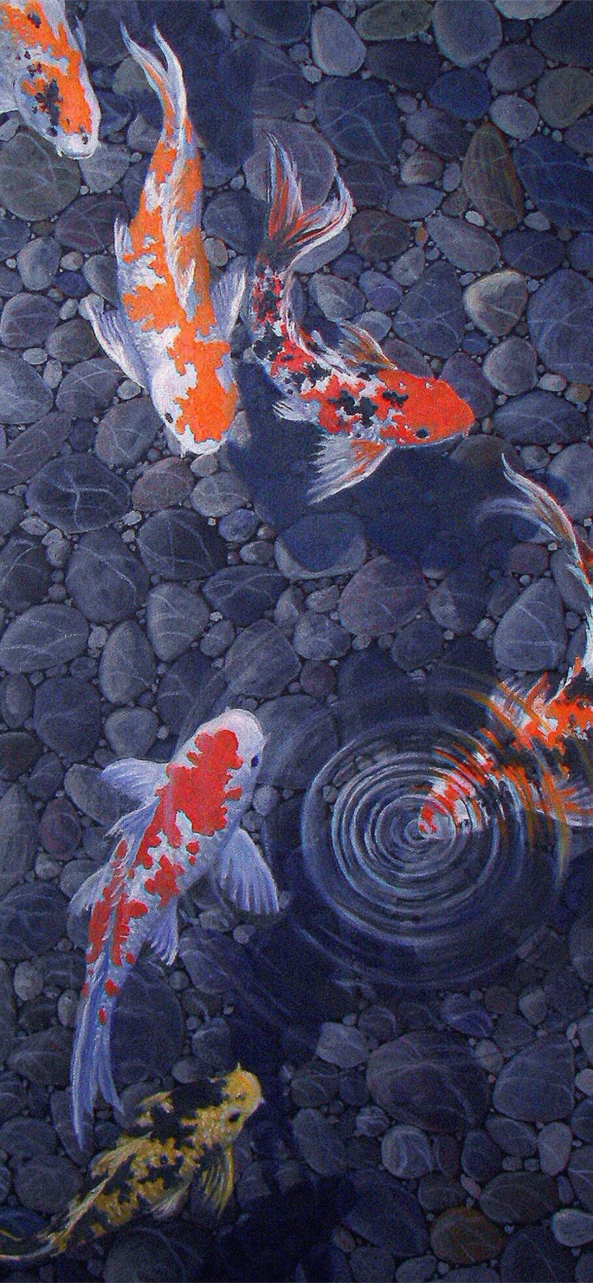 Salmon Fish Wallpapers