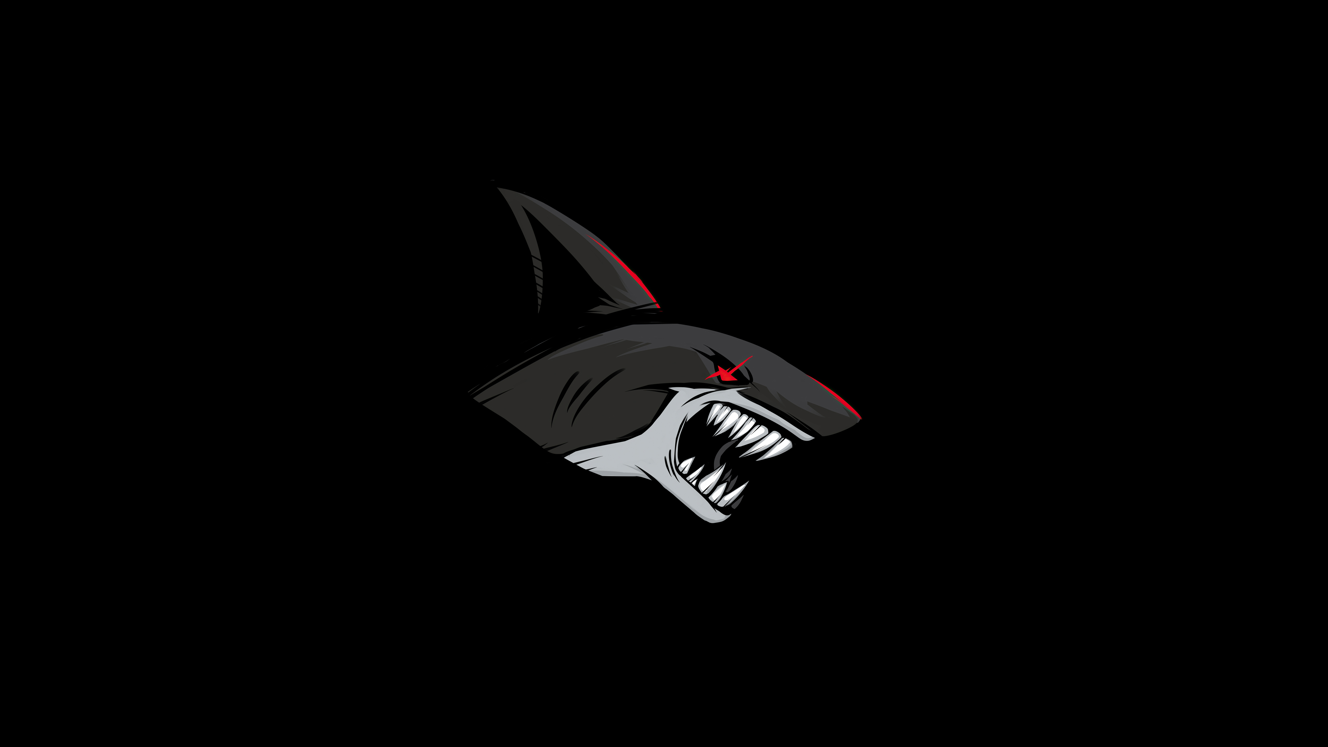 Shark Wallpapers