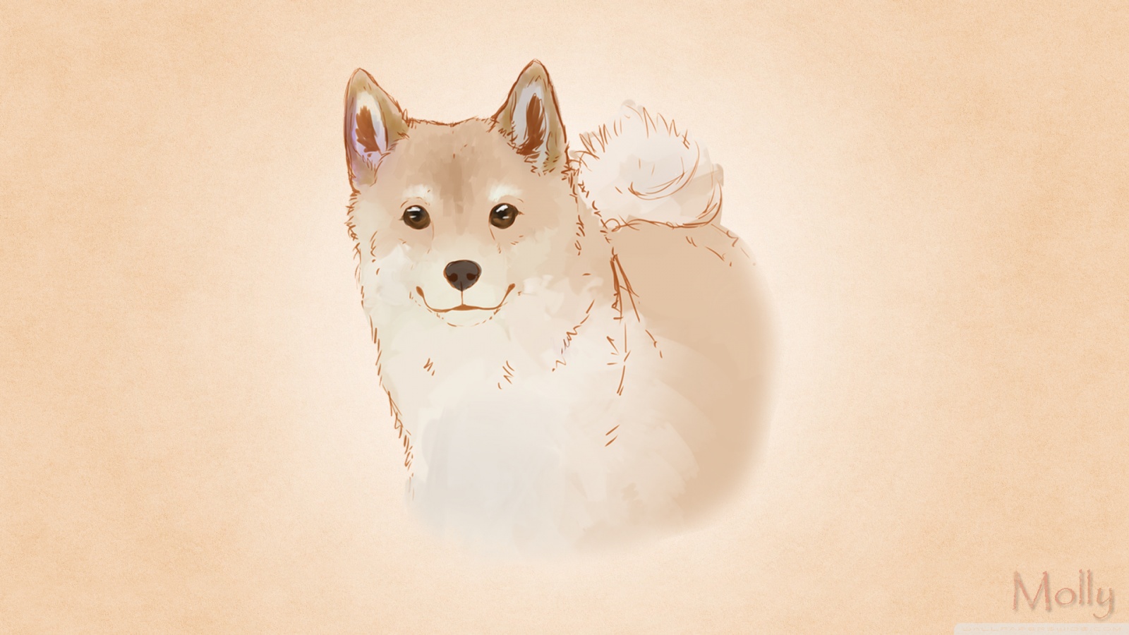 Shiba Inu Wallpapers