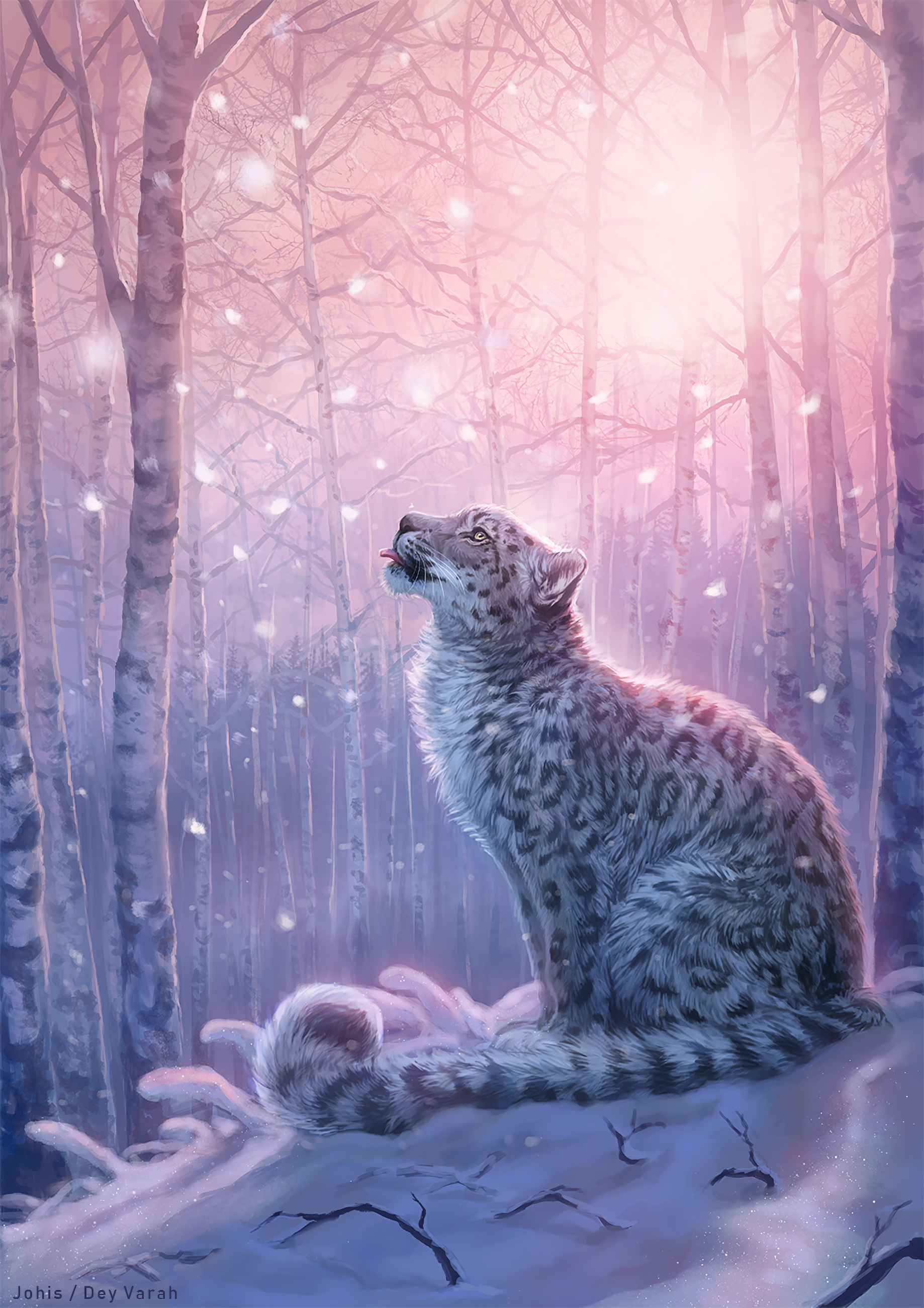 Snow Leopard Wallpapers