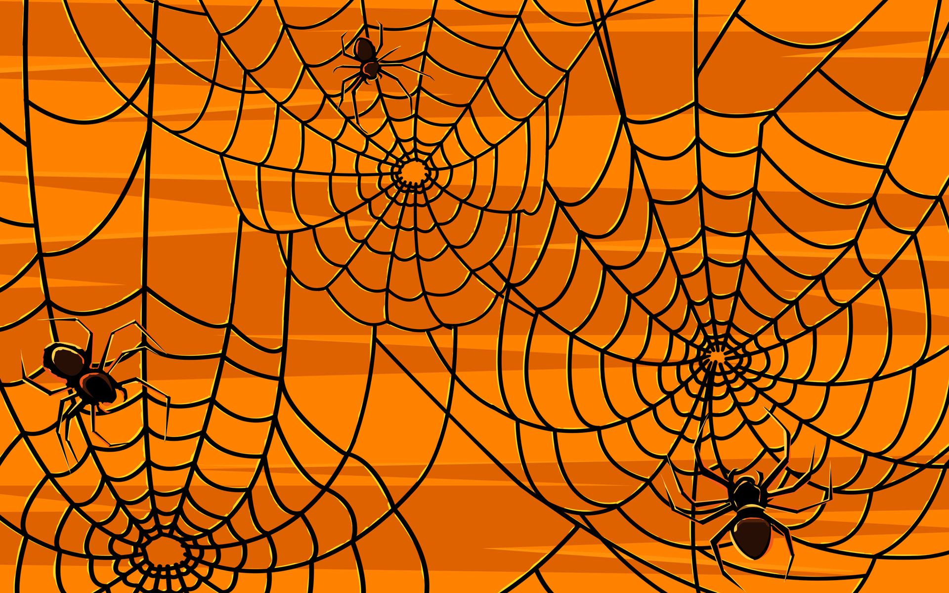 Spider Wallpapers