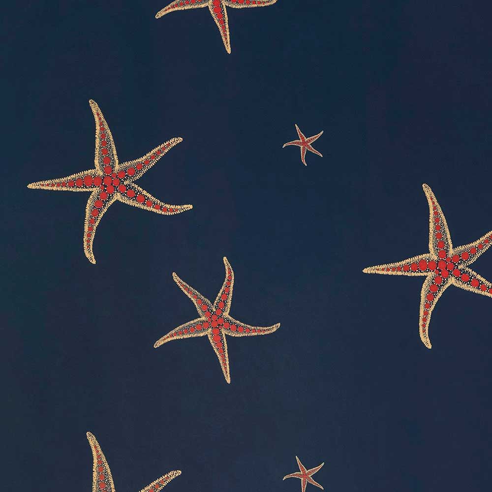 Starfish Wallpapers