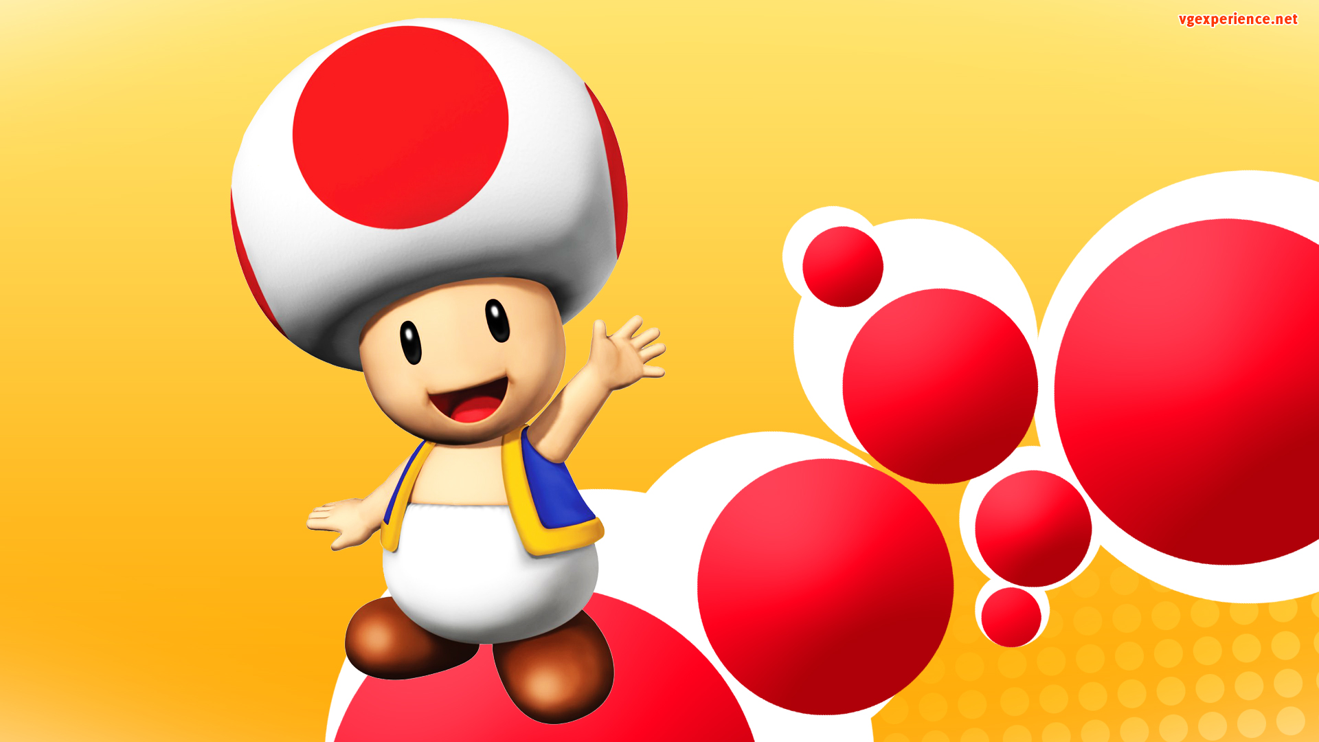 Toad Wallpapers