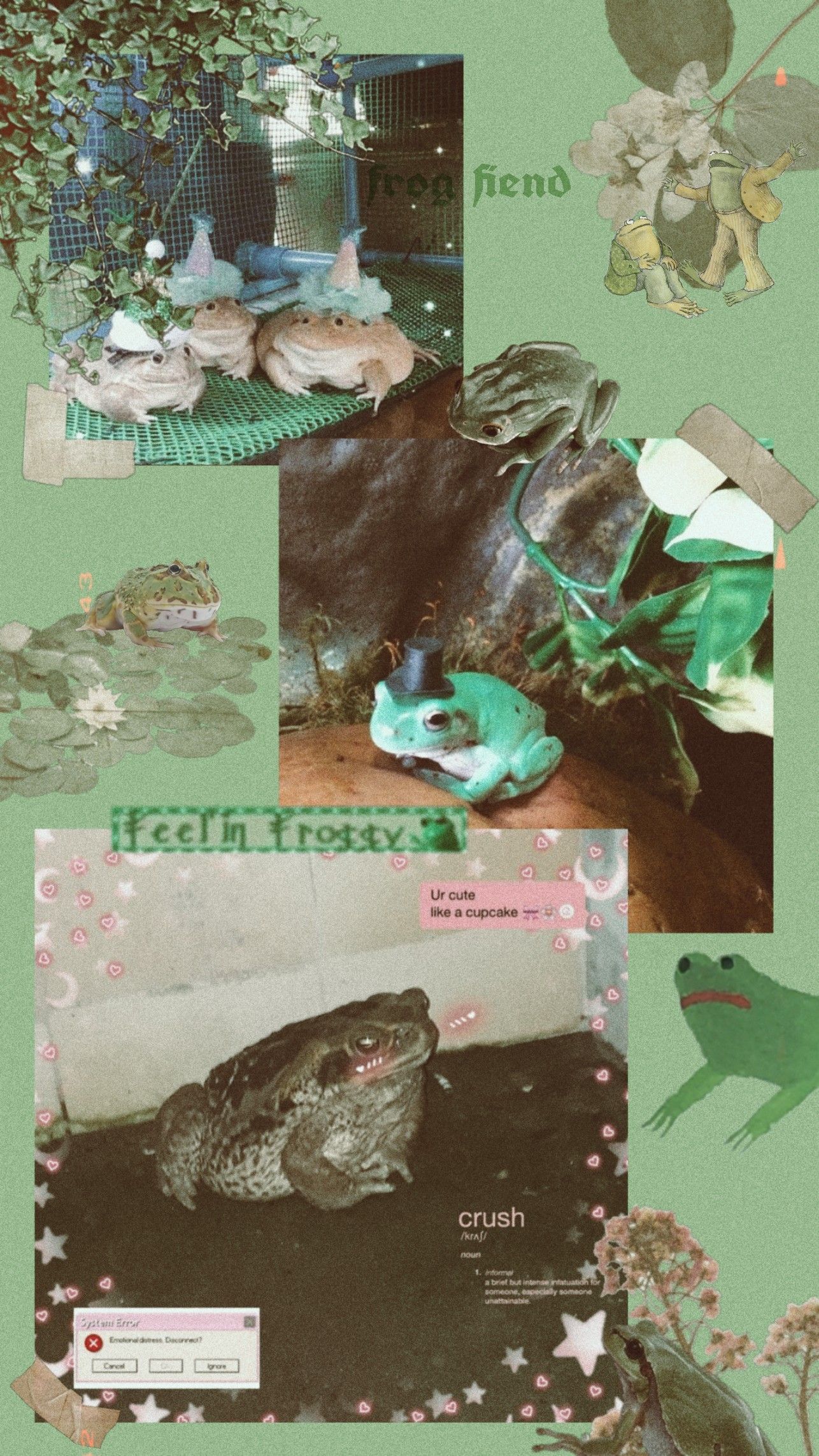 Toads Wallpapers