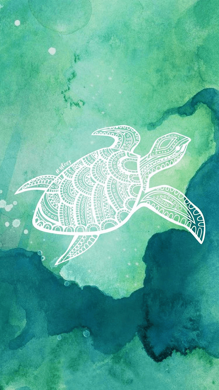 Turtle Wallpapers