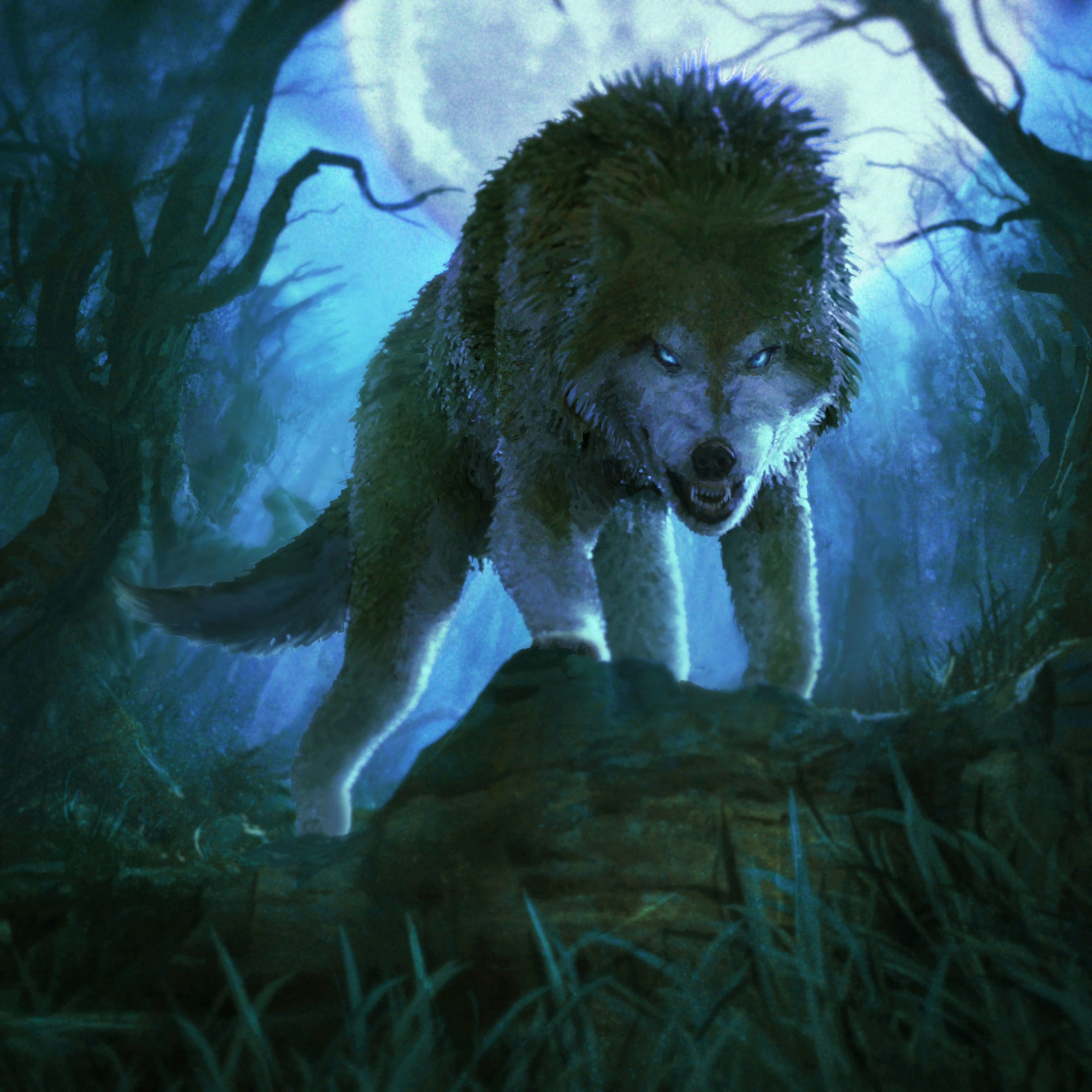 Wolf Android Wallpapers