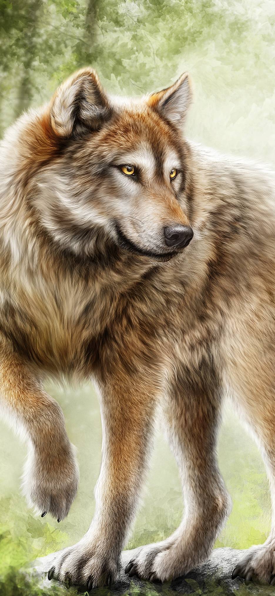 Wolf Android Wallpapers