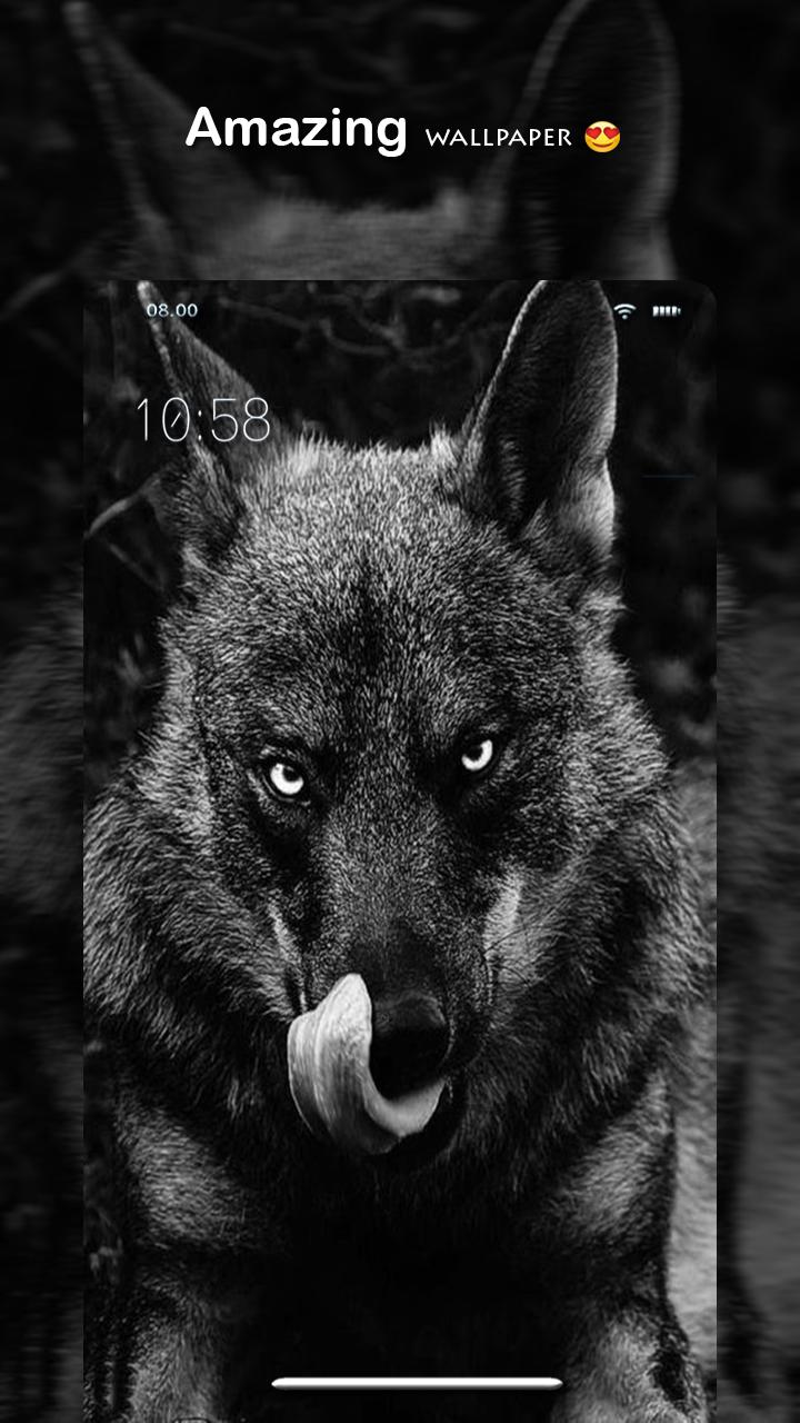 Wolf Android Wallpapers