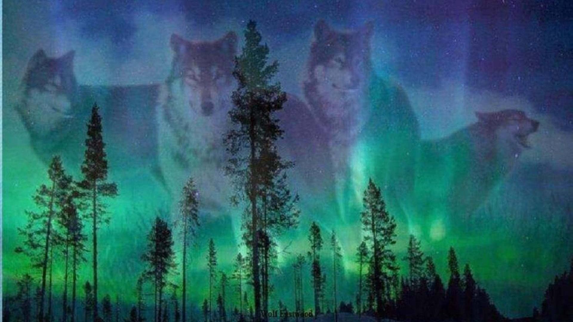 Wolf Aurora Borealis Wallpapers