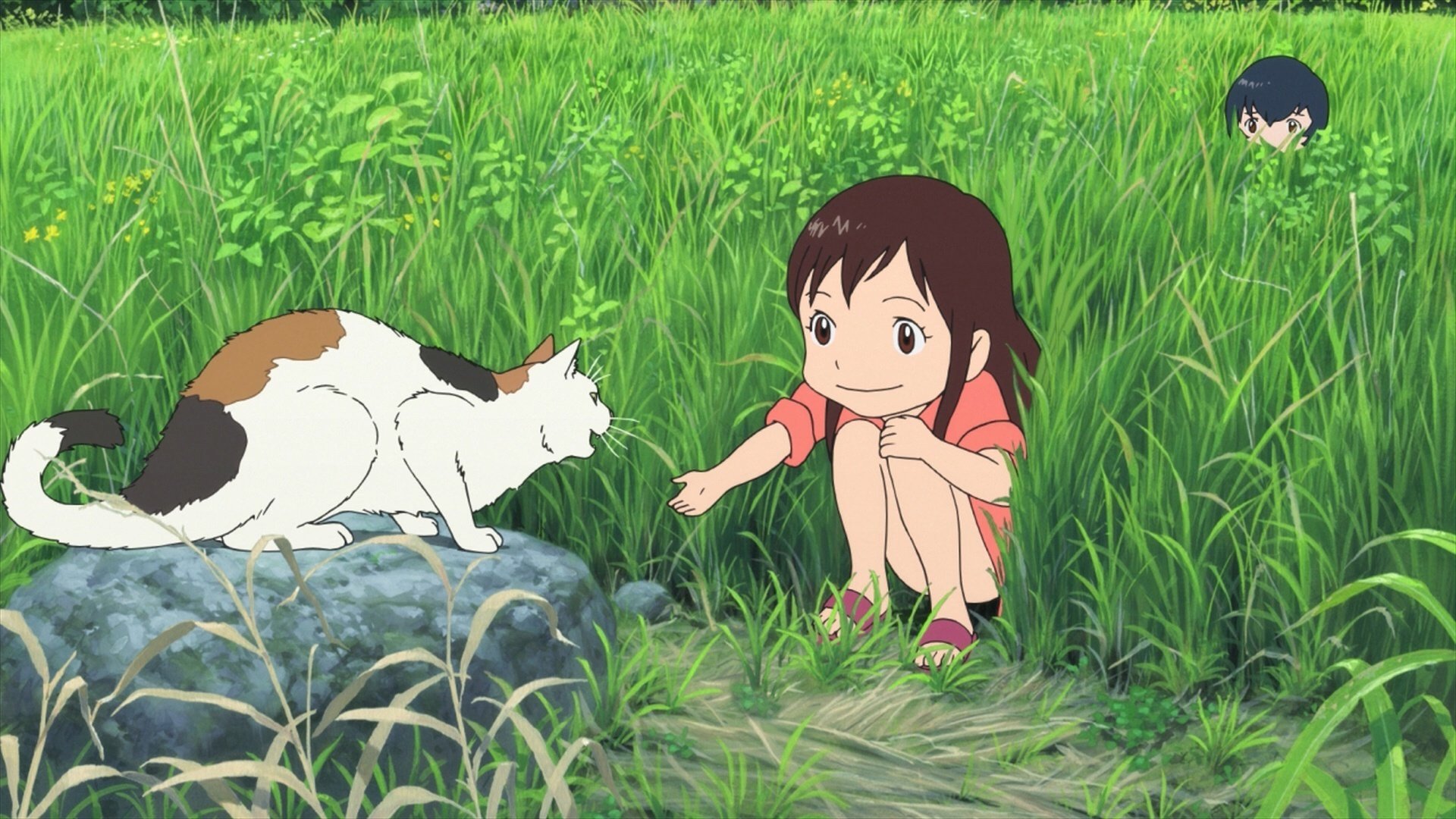 Wolf Children 1920X1080 Wallpapers