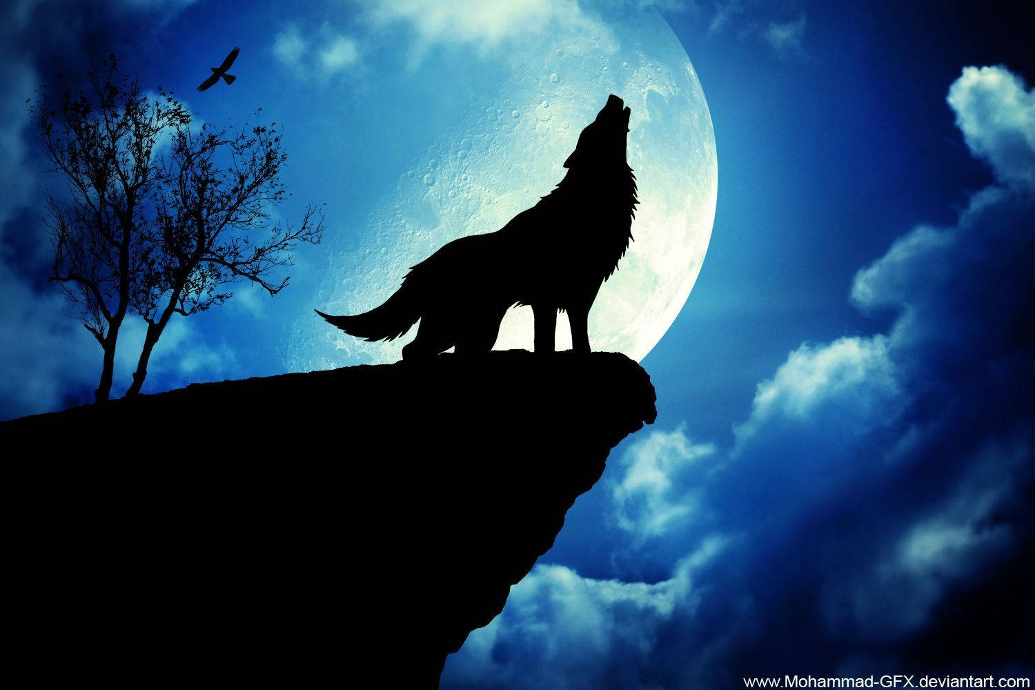 Wolf Cool Wallpapers