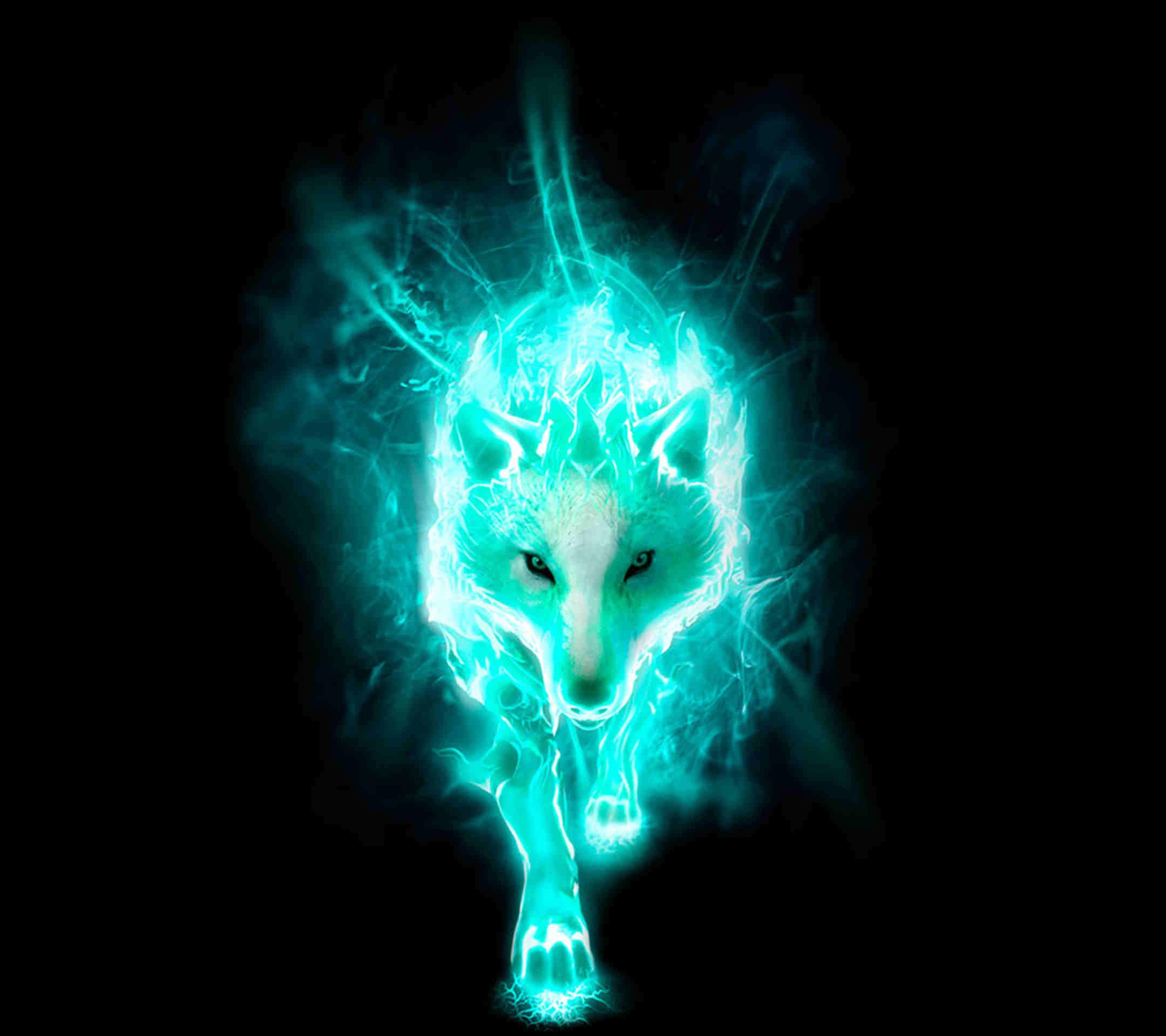 Wolf Cool Wallpapers