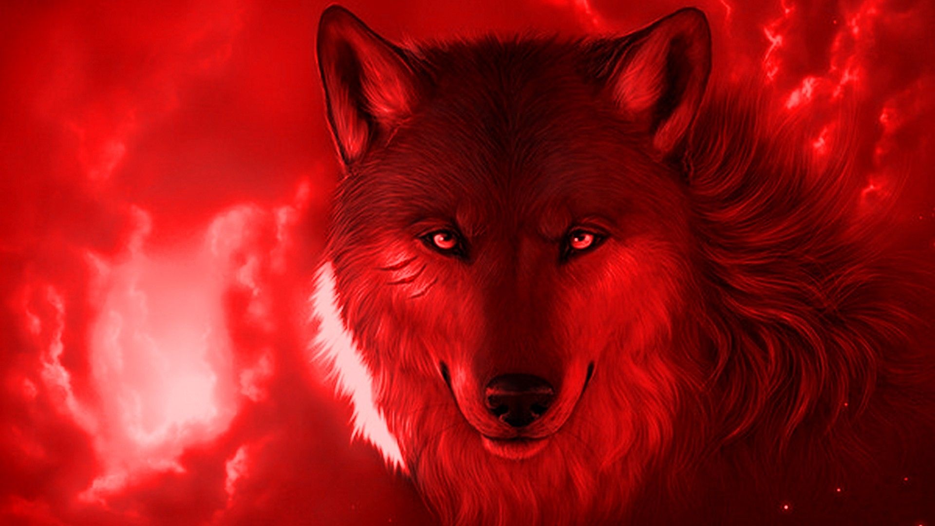 Wolf Cool Wallpapers