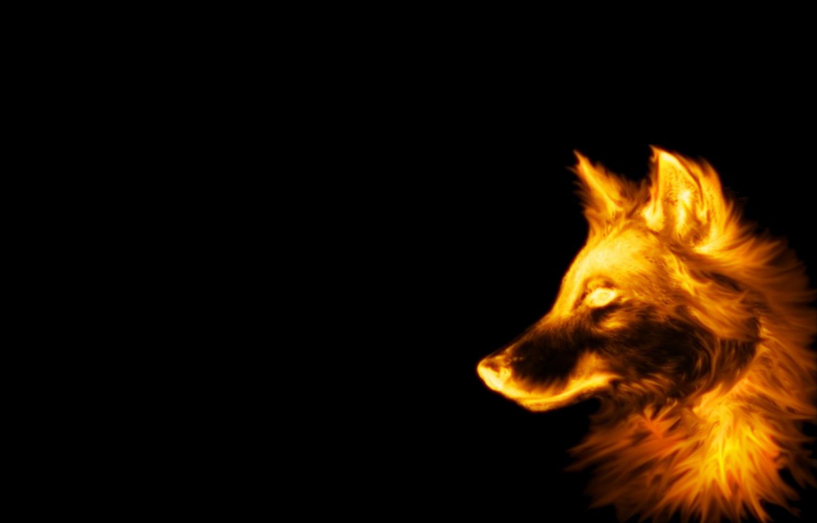 Wolf Cool Wallpapers