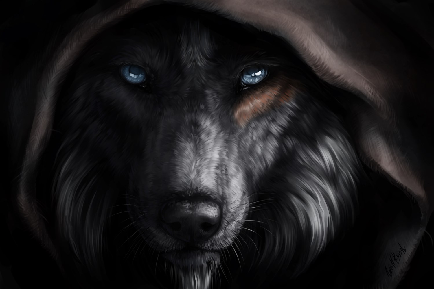 Wolf Cool Wallpapers