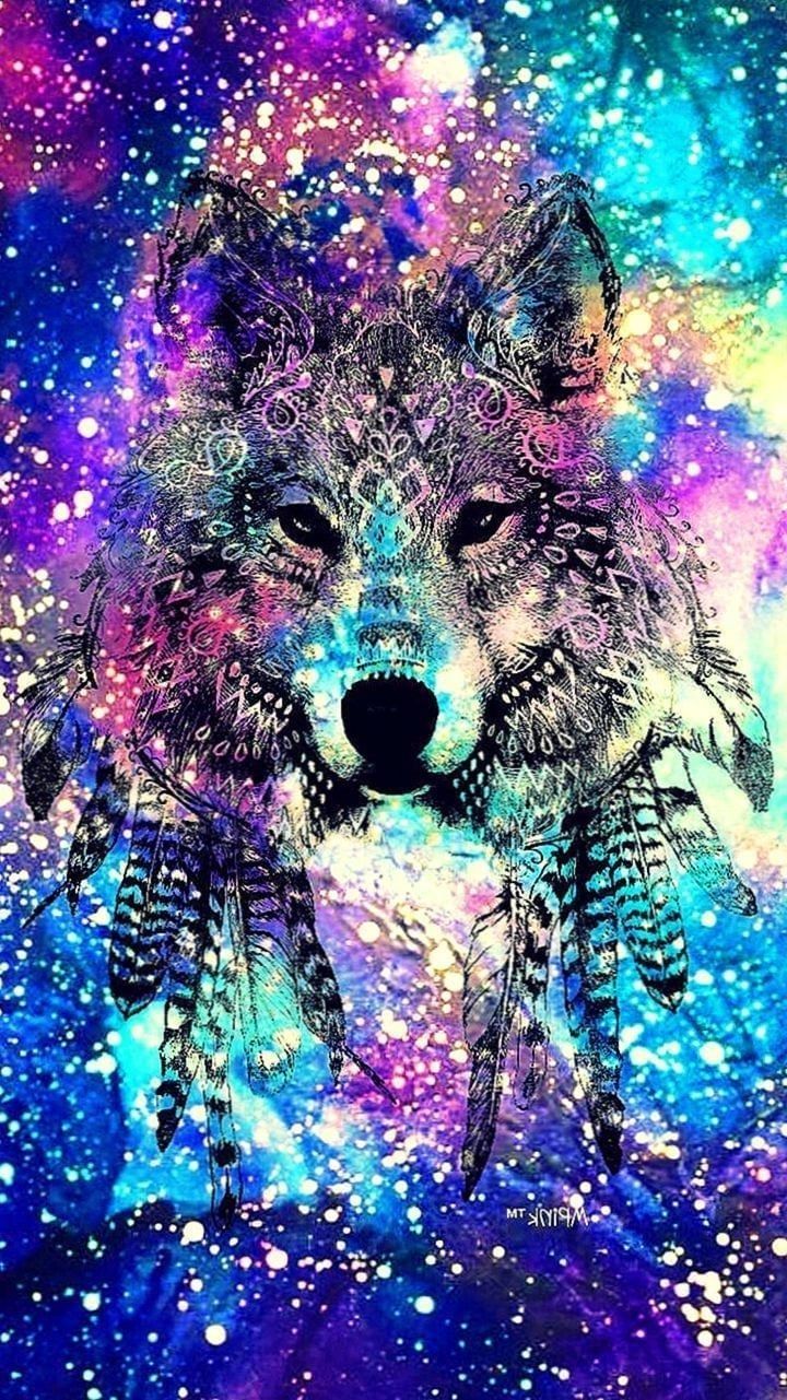 Wolf Cool Wallpapers