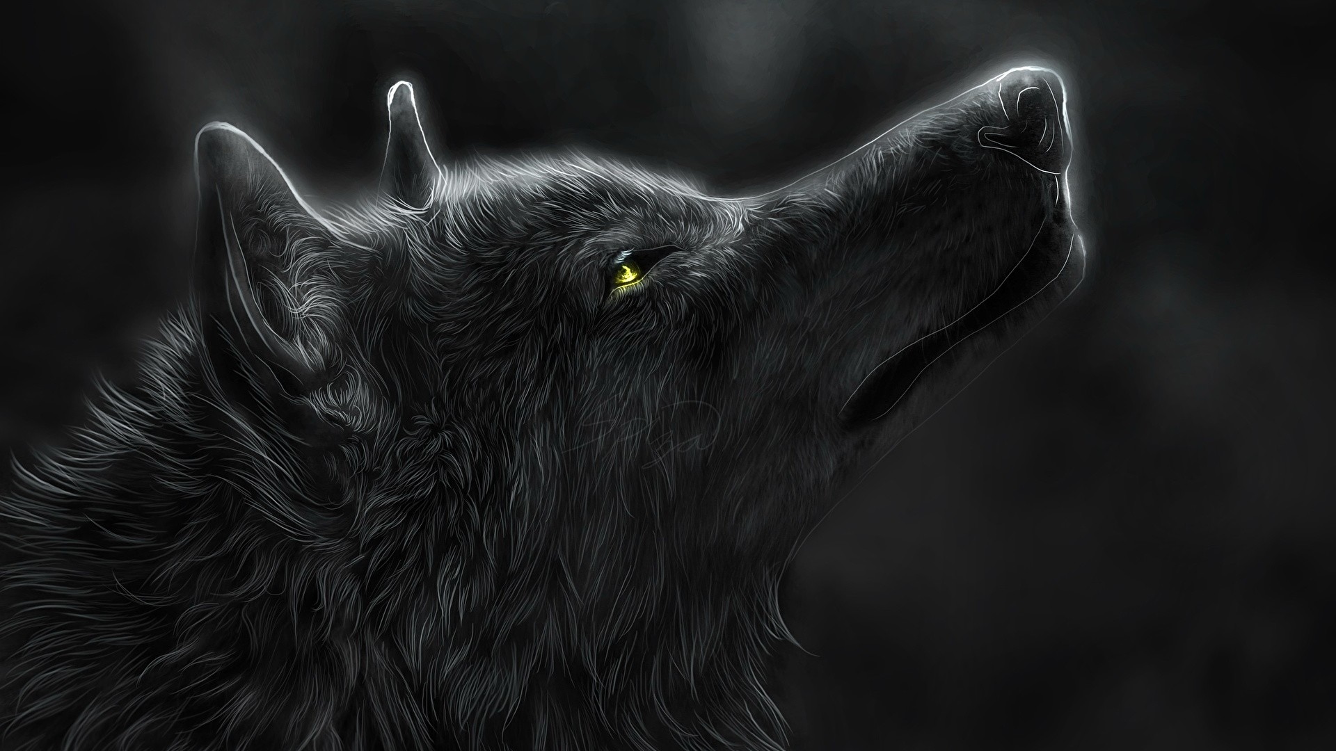 Wolf Desktop Wallpapers