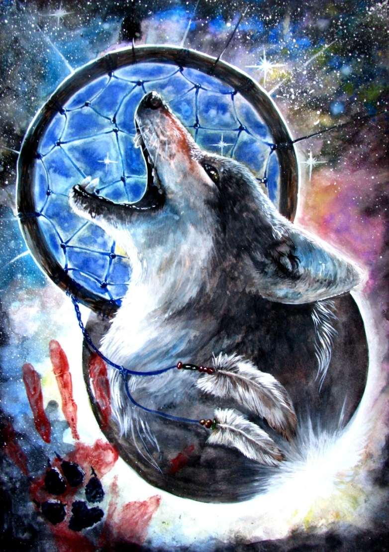 Wolf Dreamcatcher Wallpapers