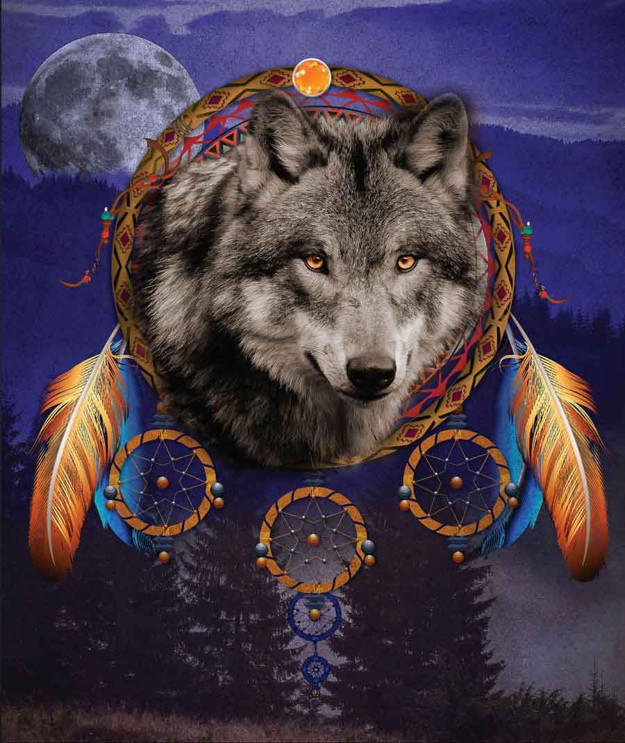 Wolf Dreamcatcher Wallpapers