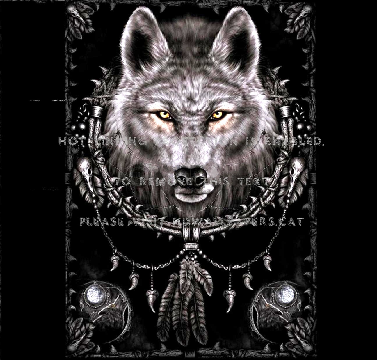 Wolf Dreamcatcher Wallpapers