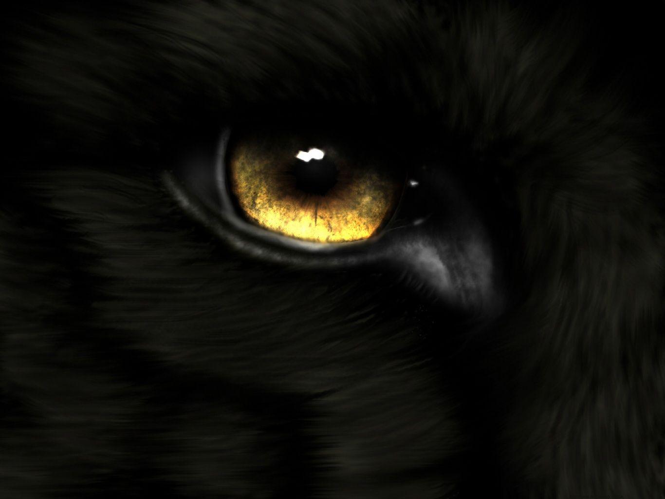 Wolf Eyes Wallpapers