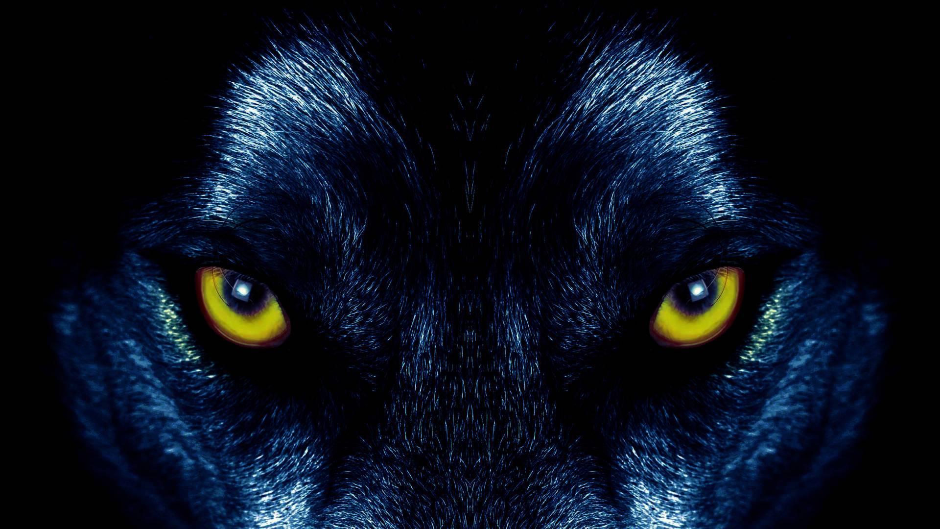 Wolf Eyes Wallpapers