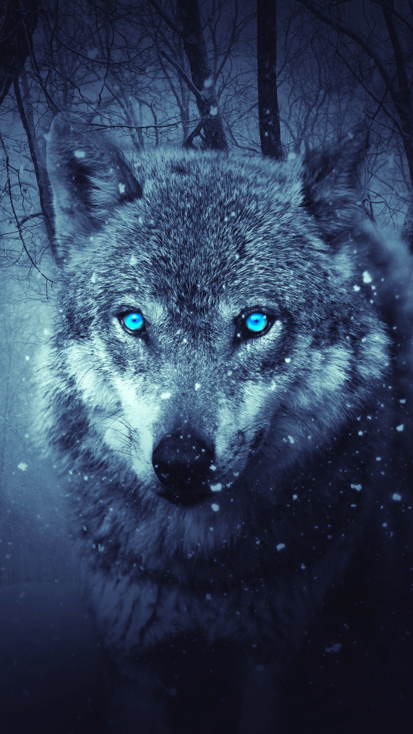 Wolf Eyes Wallpapers