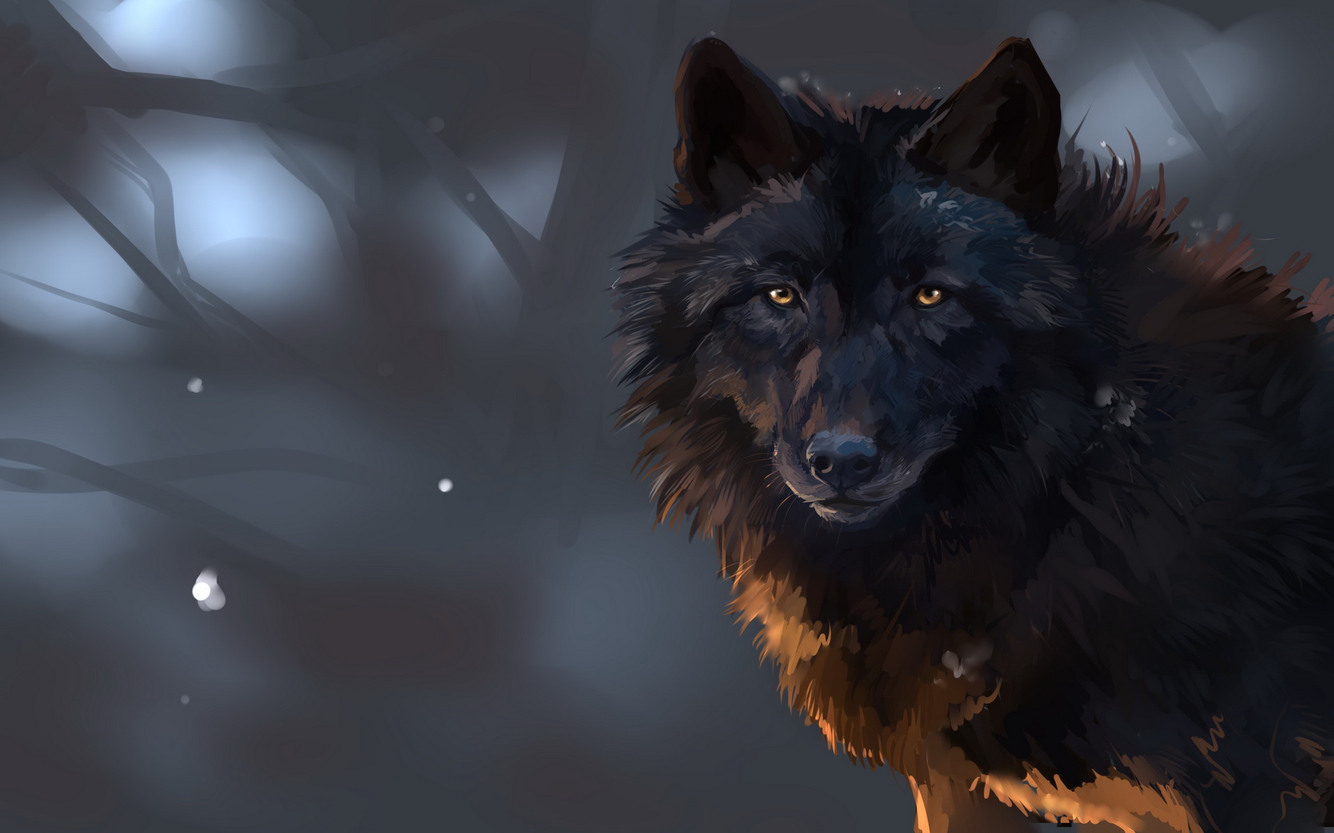 Wolf Hd Wallpapers