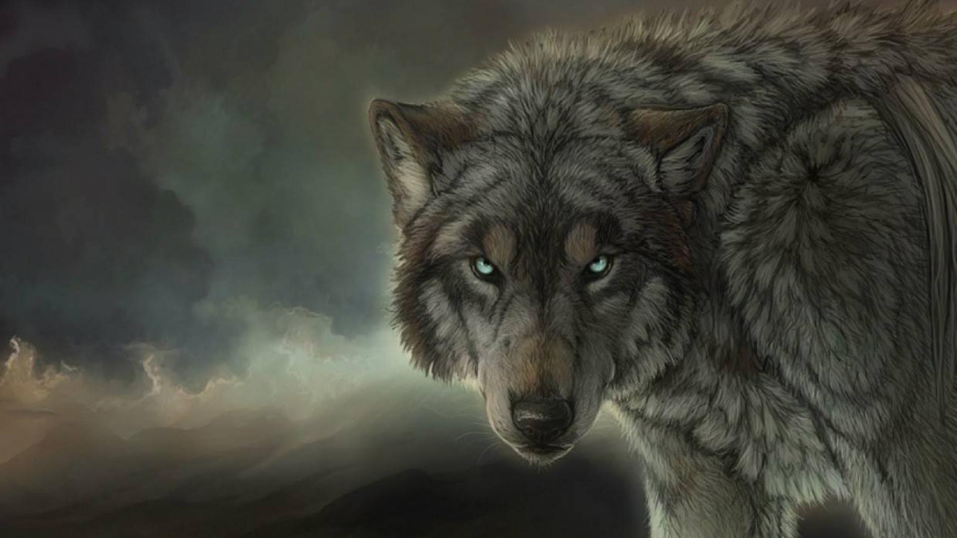 Wolf Hd Wallpapers