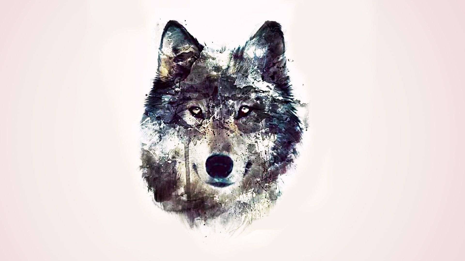 Wolf Hipster Wallpapers