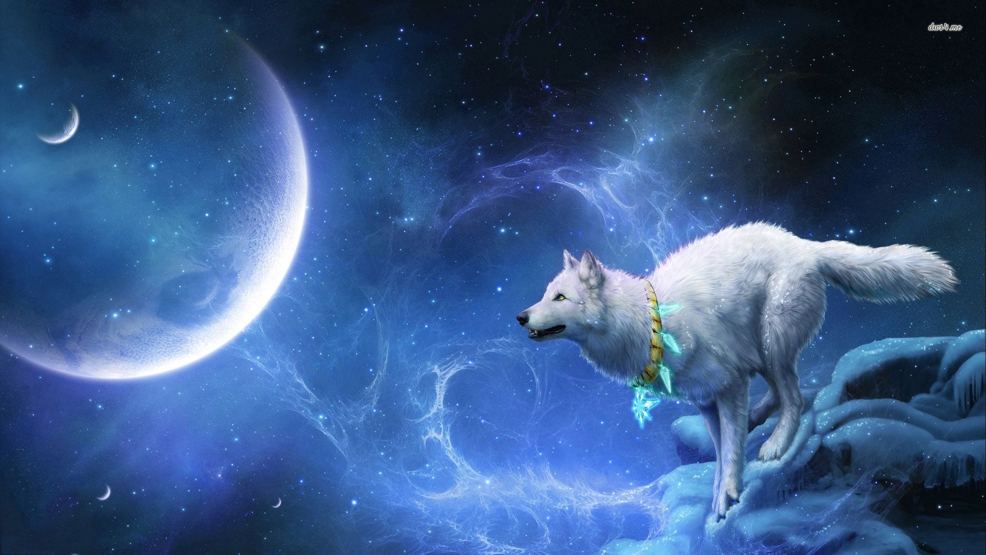 Wolf Hipster Wallpapers