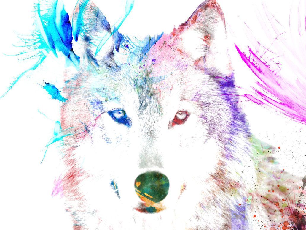 Wolf Hipster Wallpapers